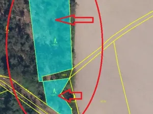 Prodej lesa, Bolehošť, 3558 m2