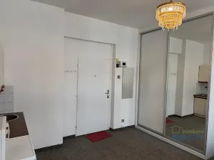 Pronájem bytu 1+kk, Praha - Žižkov, Vlkova, 25 m2