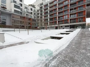 Pronájem bytu 3+kk, Praha - Vinohrady, Korunní, 106 m2