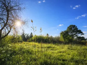 Prodej pozemku, Praha, 475 m2