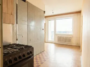Prodej bytu 1+1, Olomouc - Nová Ulice, Pionýrská, 45 m2