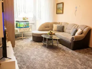 Prodej bytu 1+1, Olomouc - Nová Ulice, Pionýrská, 45 m2