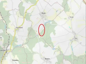 Prodej lesa, Tis, 906 m2