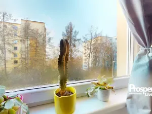 Prodej bytu 2+kk, Ústí nad Labem - Krásné Březno, Obvodová, 47 m2