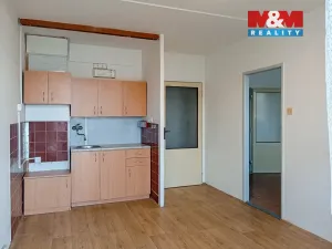 Prodej bytu 1+1, Litoměřice - Předměstí, Revoluční, 42 m2