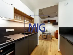 Pronájem bytu 2+kk, Brno, Cejl, 35 m2