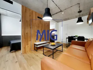 Pronájem bytu 2+kk, Brno, Cejl, 35 m2