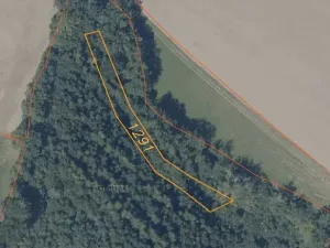 Dražba louky, Krchleby, 7831 m2