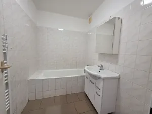 Pronájem bytu 3+1, Frýdlant nad Ostravicí, Kadlčákova, 150 m2