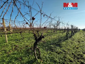 Prodej pole, Velké Bílovice, 7286 m2