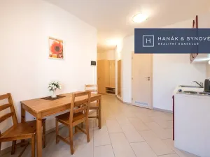 Pronájem bytu 2+1, Brno, Anenská, 50 m2