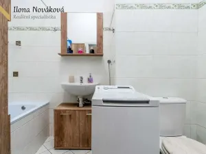 Prodej bytu 2+kk, Milovice, Višňová, 63 m2