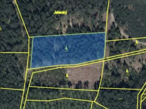 Prodej lesa, Veliny, 4431 m2