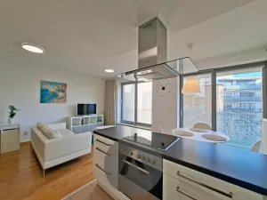 Pronájem bytu 2+kk, Brno, Leitnerova, 62 m2