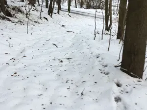 Prodej pozemku, Kadaň, 3903 m2