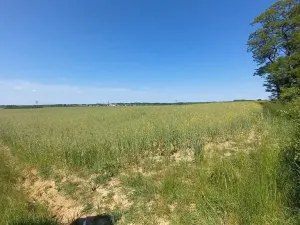 Prodej pole, Čestlice, Říčanská, 3118 m2