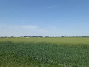 Prodej pole, Čestlice, Říčanská, 480 m2