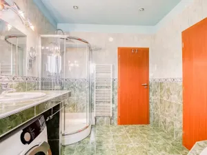 Prodej rodinného domu, Nepřevázka, 252 m2