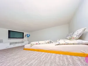 Prodej bytu 3+1, Olomouc, Palackého, 127 m2