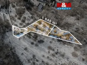 Prodej zahrady, Ryjice, 1648 m2