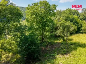 Prodej zahrady, Ryjice, 1648 m2