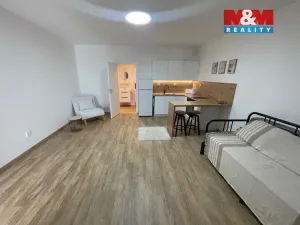 Prodej bytu 1+kk, Ostrava - Nová Ves, Na Lánech, 30 m2