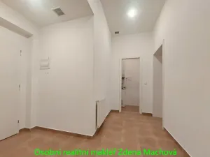 Pronájem bytu 2+kk, Praha - Vinohrady, Lublaňská, 56 m2