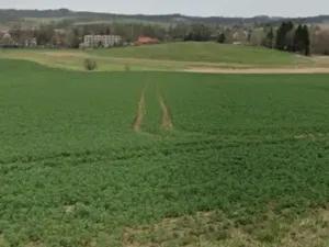 Dražba pole, Horní Cerekev, 18662 m2