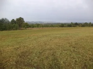 Dražba louky, Horní Pěna, 1083 m2