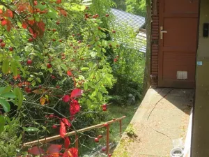 Dražba chaty, Stříbrná Skalice, 42 m2