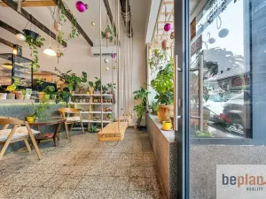 Pronájem restaurace, Brno, Štefánikova, 35 m2