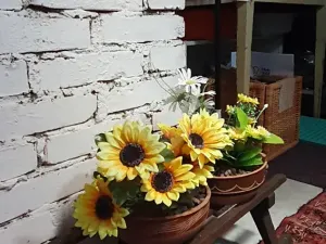 Prodej chalupy, Hodkovice nad Mohelkou, Česká, 100 m2