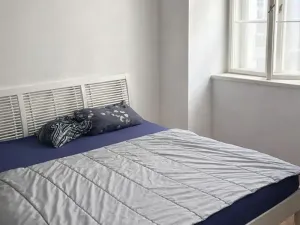 Pronájem bytu 1+1, Praha - Nové Město, Krakovská, 55 m2