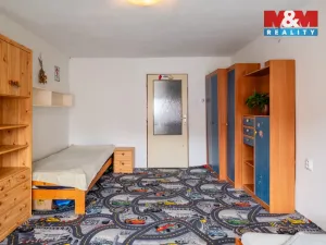 Prodej rodinného domu, Hrejkovice - Pechova Lhota, 170 m2