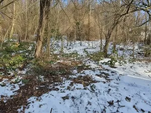 Prodej rodinného domu, Babice u Rosic, 97 m2