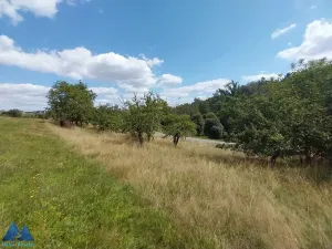 Prodej pozemku pro bydlení, Libňatov, 1680 m2