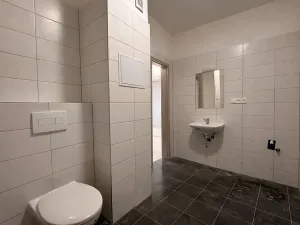 Pronájem bytu 3+kk, Milovice, Slepá, 60 m2