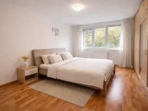 Prodej bytu 2+kk, Praha - Stodůlky, Petržílkova, 65 m2