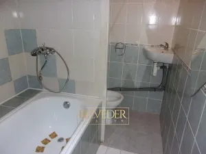 Pronájem bytu 1+1, Teplice, Antala Staška, 35 m2