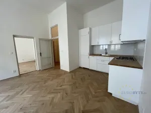 Pronájem bytu 2+kk, Praha - Nové Město, Krakovská, 47 m2