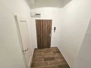 Pronájem bytu 1+kk, Praha - Vinohrady, Řipská, 28 m2