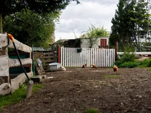 Prodej chaty, Litíč, 60 m2