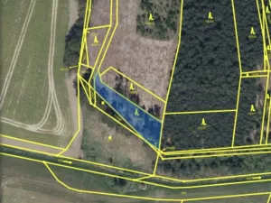 Prodej lesa, Veliny, 882 m2