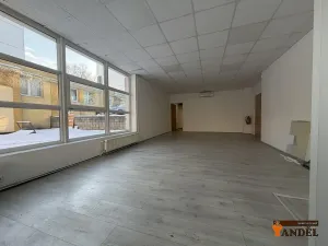 Pronájem obchodního prostoru, Havířov, Dlouhá třída, 55 m2