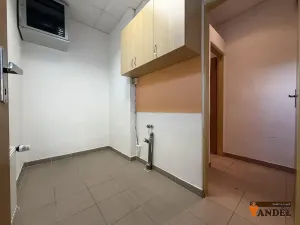 Pronájem obchodního prostoru, Havířov, Dlouhá třída, 55 m2