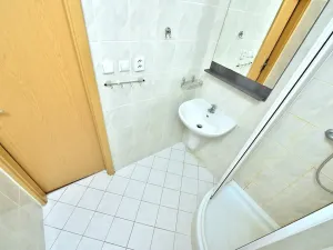 Pronájem bytu 1+kk, Praha - Libeň, Braunerova, 35 m2