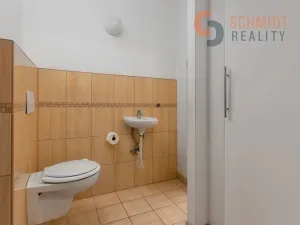 Prodej bytu 5+1, Brno, Veveří, 200 m2