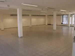 Pronájem obchodního prostoru, Prostějov, Wolkerova, 390 m2