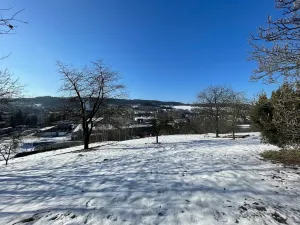Prodej pozemku pro bydlení, Česká Třebová, 6890 m2