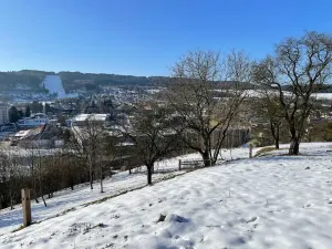 Prodej pozemku pro bydlení, Česká Třebová, 6890 m2